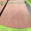 Poplar Core Two Time Hot Press Bintangor Plywood with Competitive Price